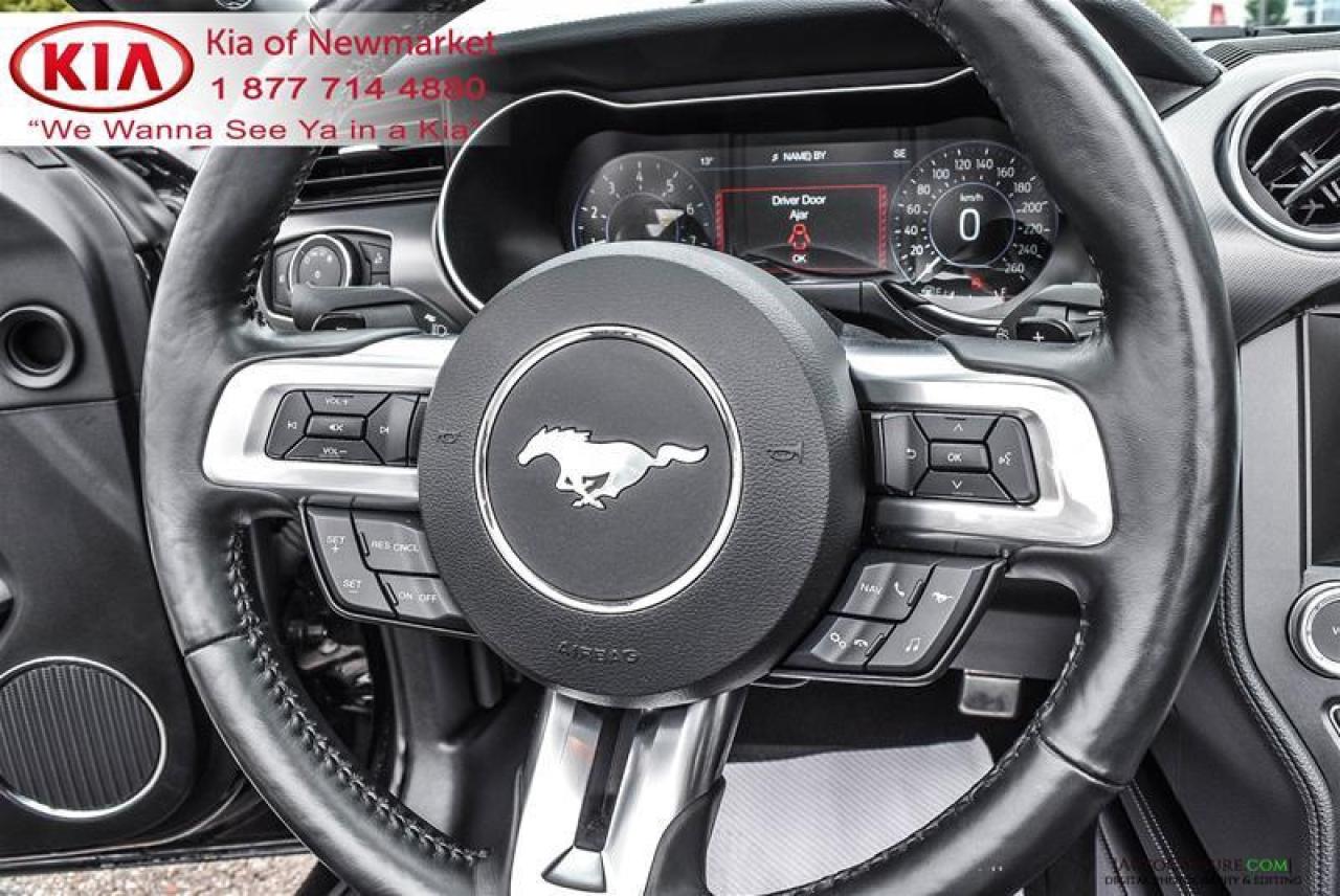 2019 Ford Mustang GT Premium 2dr Convertible Photo