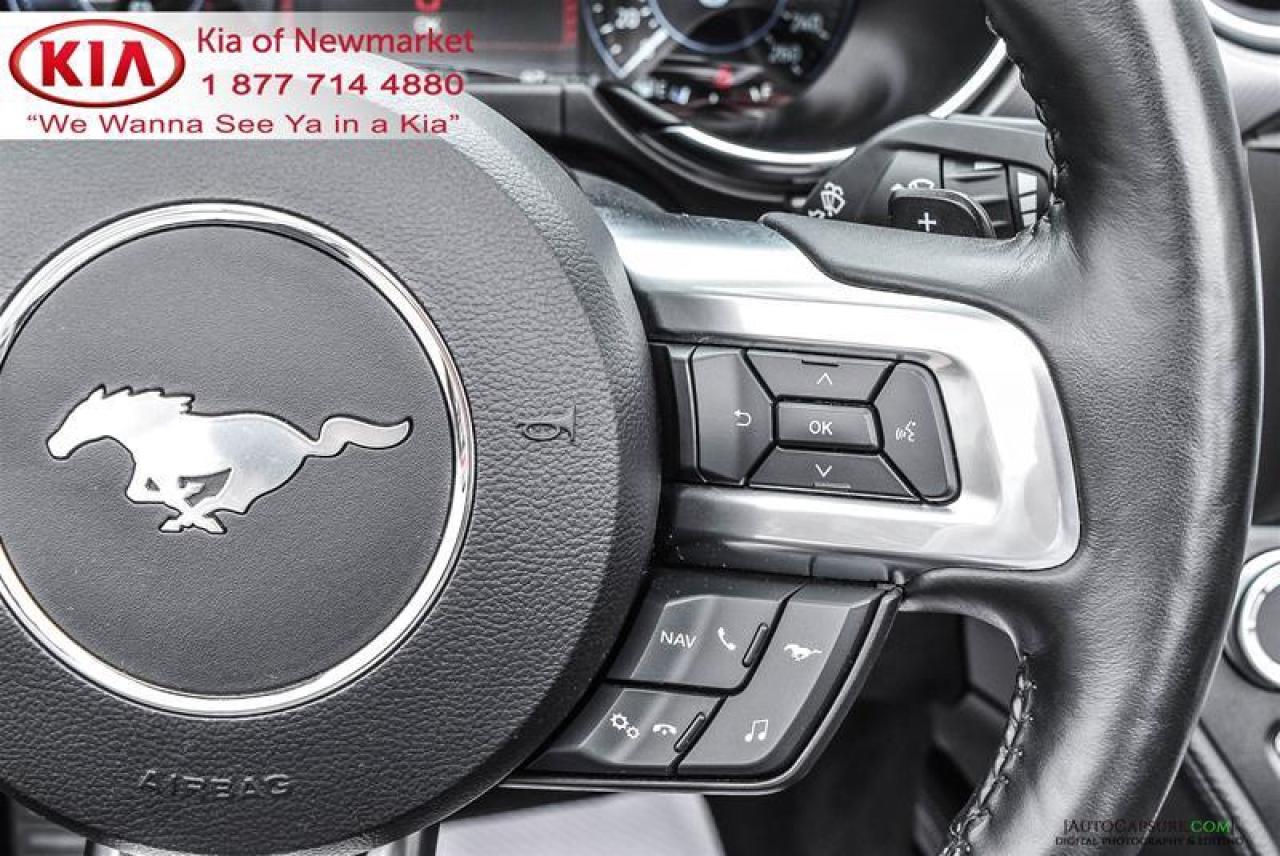 2019 Ford Mustang GT Premium 2dr Convertible Photo