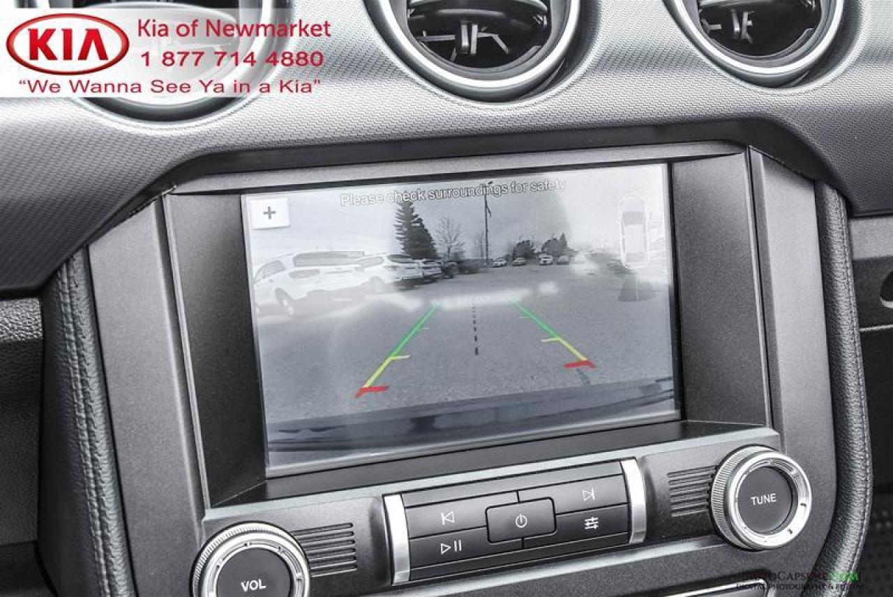 2019 Ford Mustang GT Premium 2dr Convertible Photo