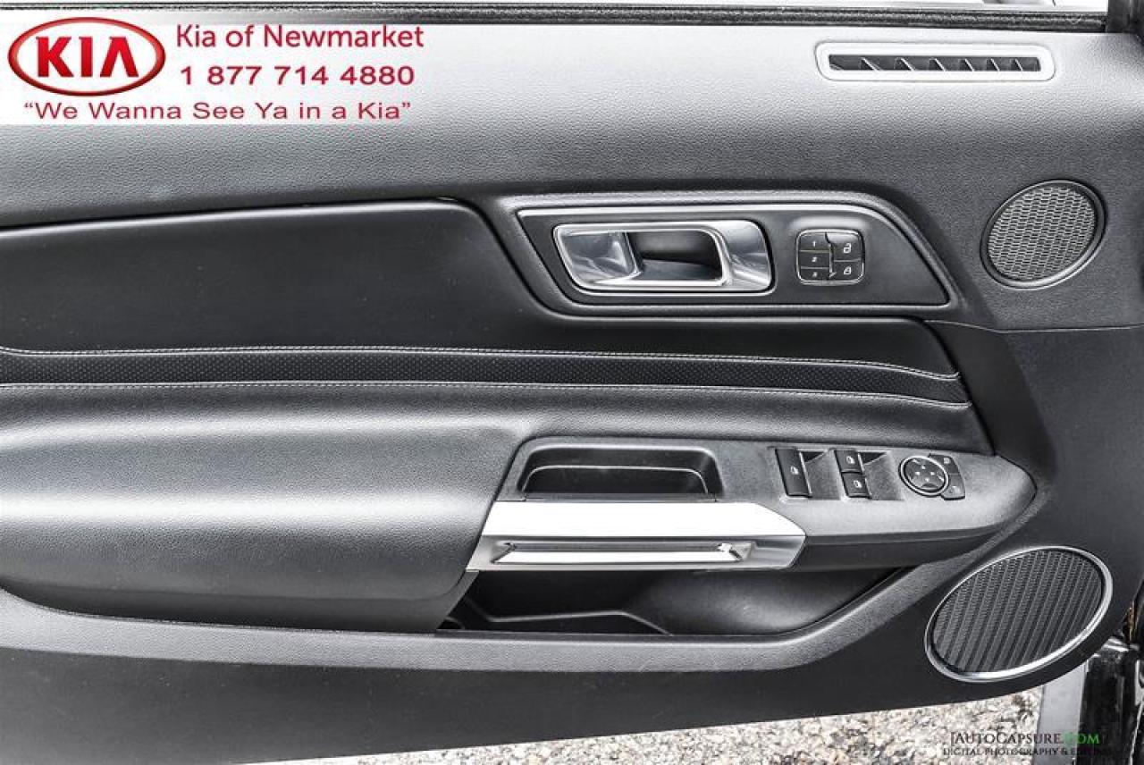 2019 Ford Mustang GT Premium 2dr Convertible Photo