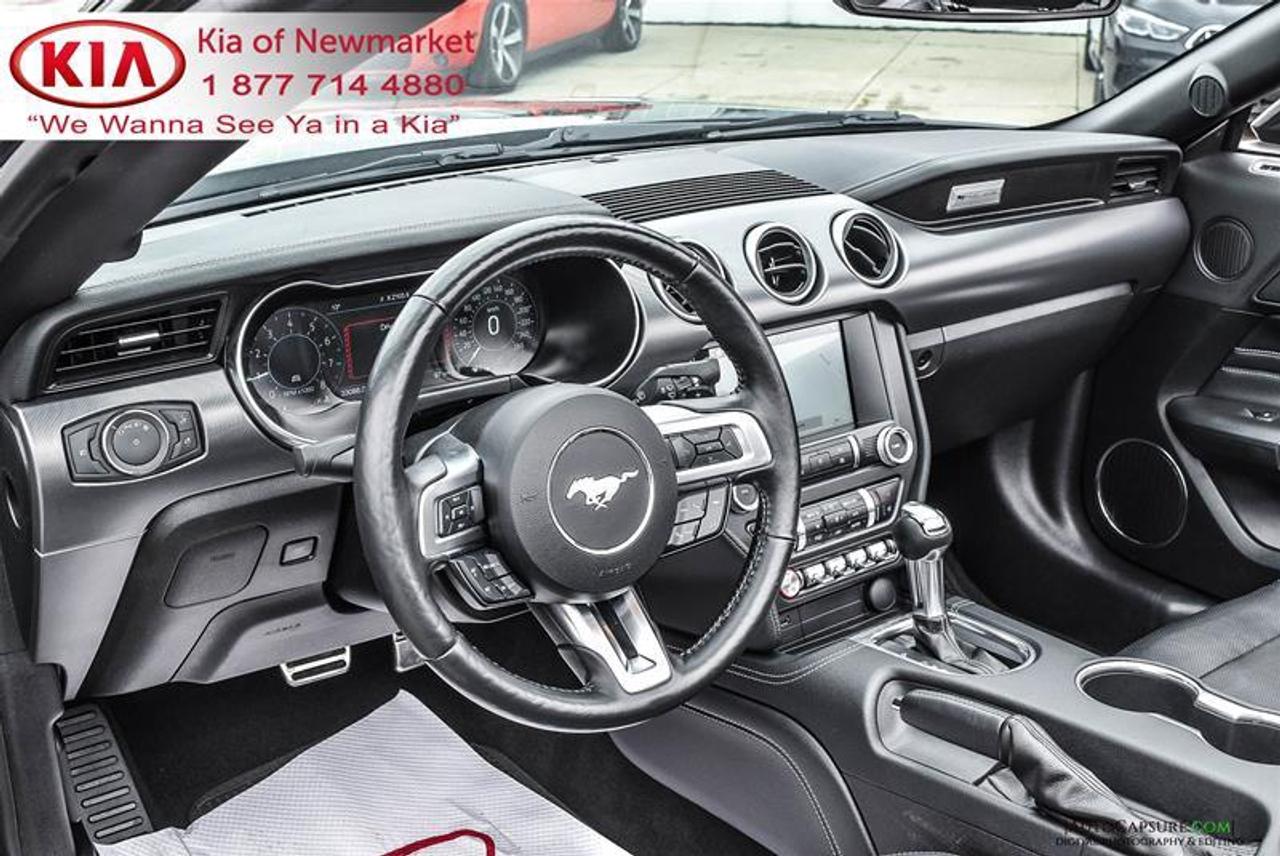 2019 Ford Mustang GT Premium 2dr Convertible Photo