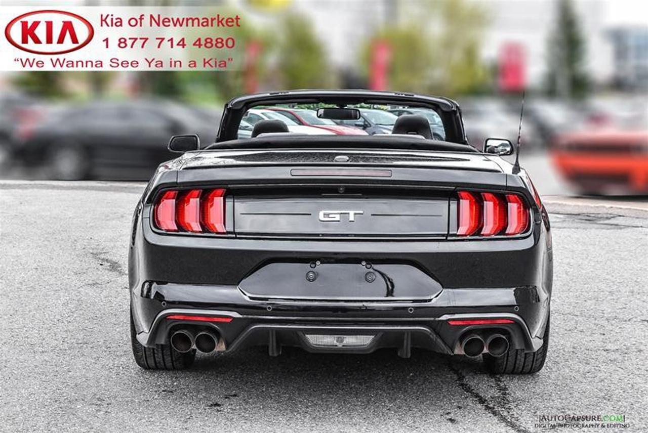 2019 Ford Mustang GT Premium 2dr Convertible Photo
