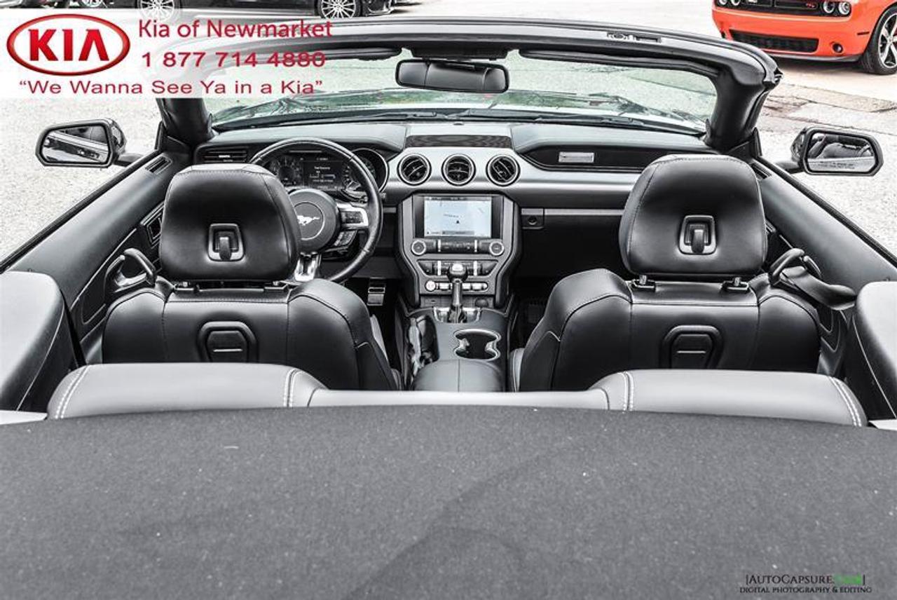 2019 Ford Mustang GT Premium 2dr Convertible Photo