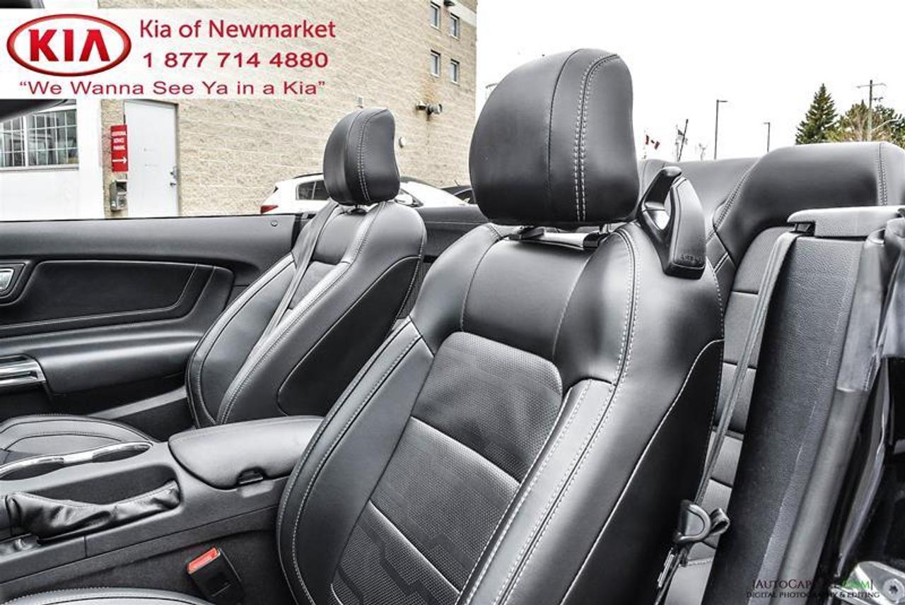 2019 Ford Mustang GT Premium 2dr Convertible Photo