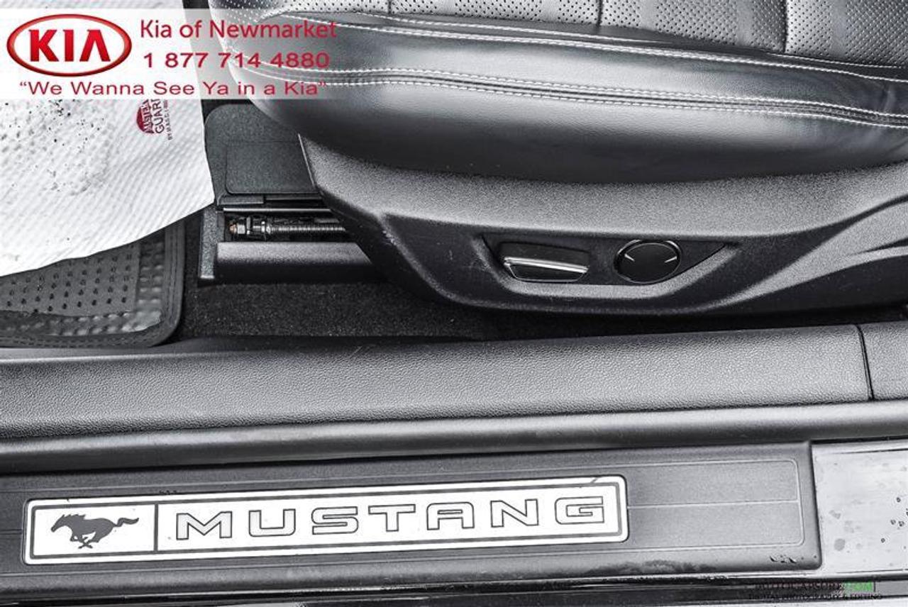 2019 Ford Mustang GT Premium 2dr Convertible Photo