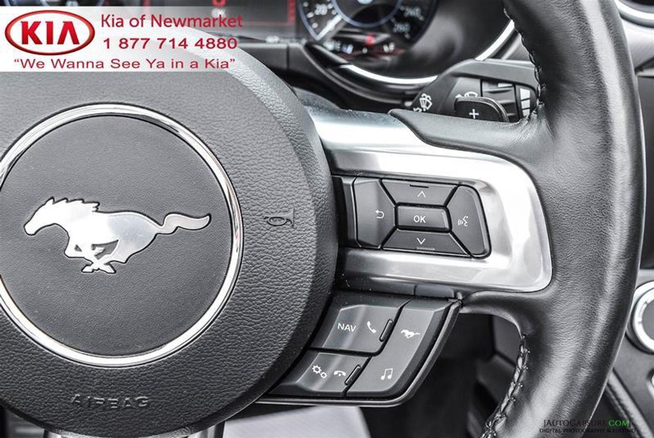 2019 Ford Mustang GT Premium 2dr Convertible Photo