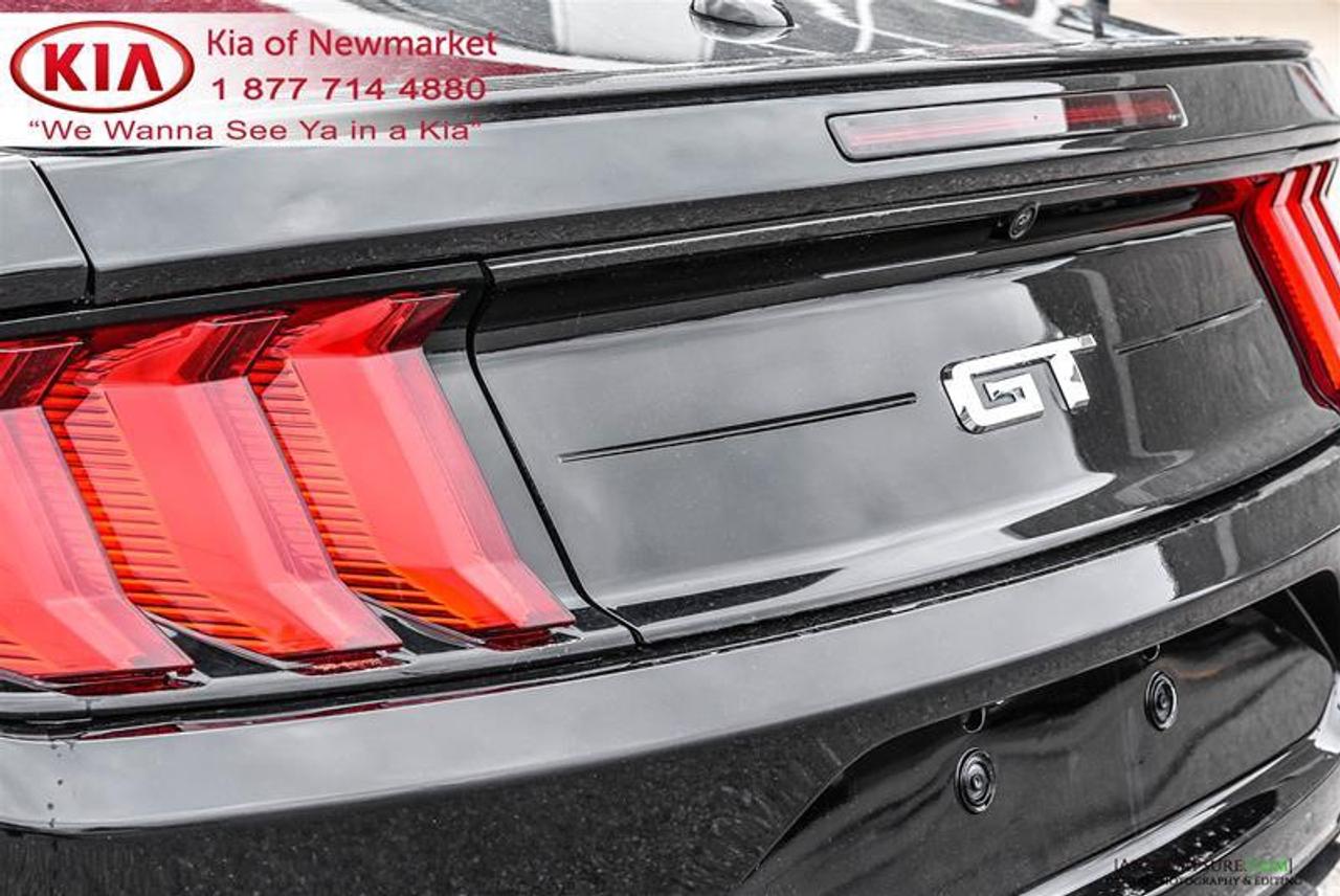 2019 Ford Mustang GT Premium 2dr Convertible Photo