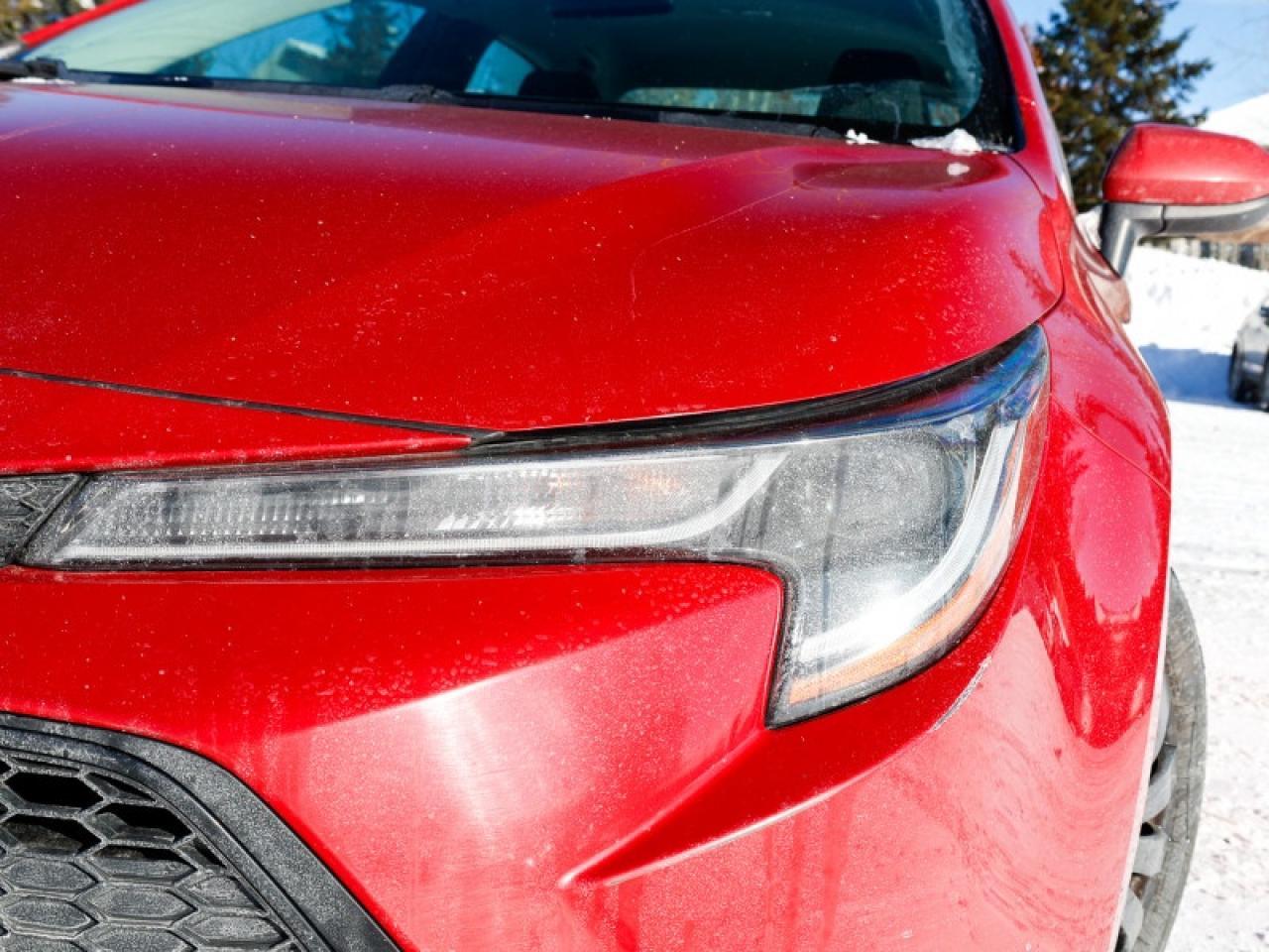 2020 Toyota Corolla LE Photo