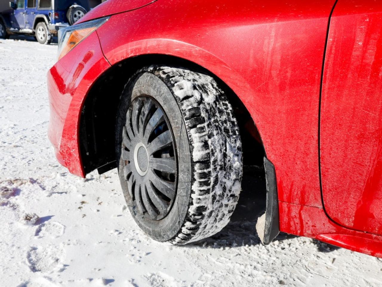 2020 Toyota Corolla LE Photo