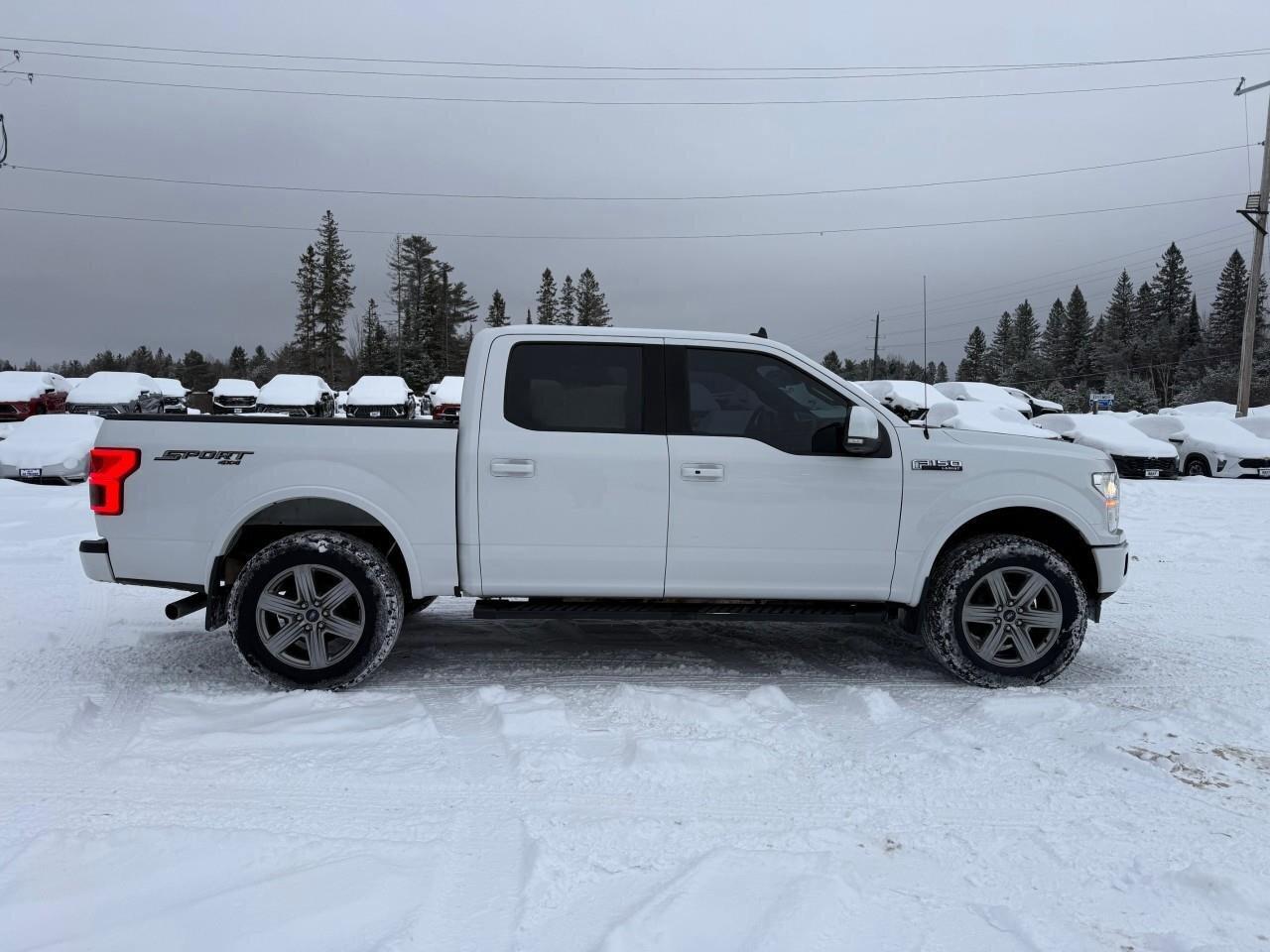 2019 Ford F-150 RUNNING BOARDS, SPRAY IN BEDLINER, ALL WEATHER M Photo