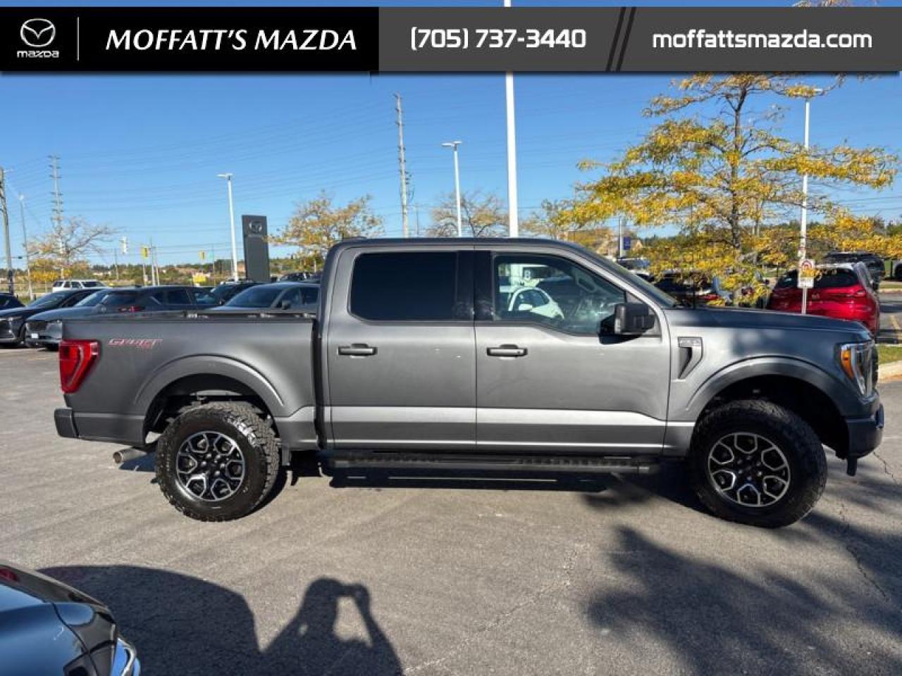2023 Ford F-150 XLT Photo