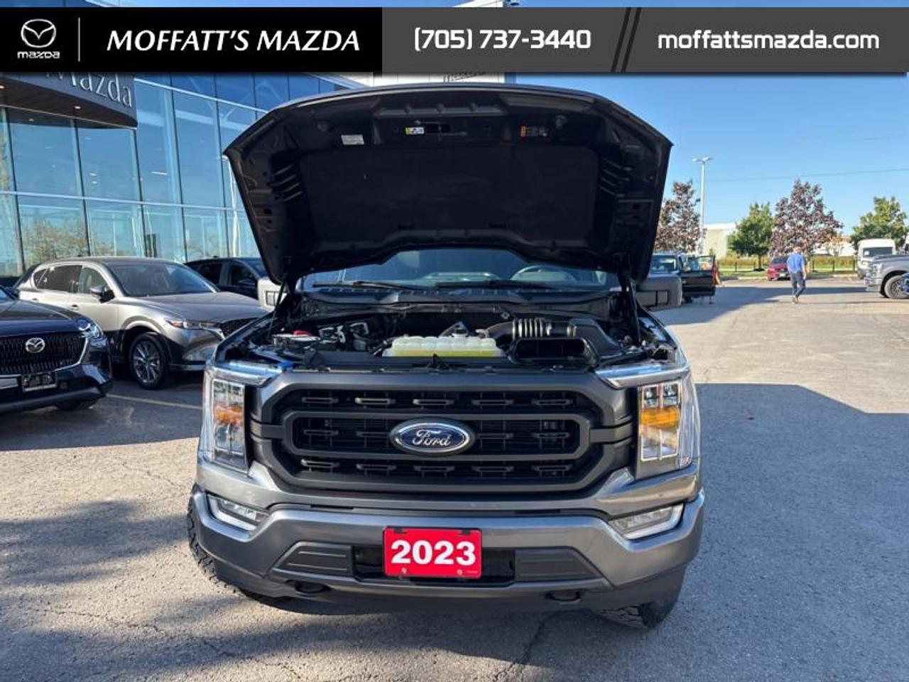 2023 Ford F-150 XLT Photo