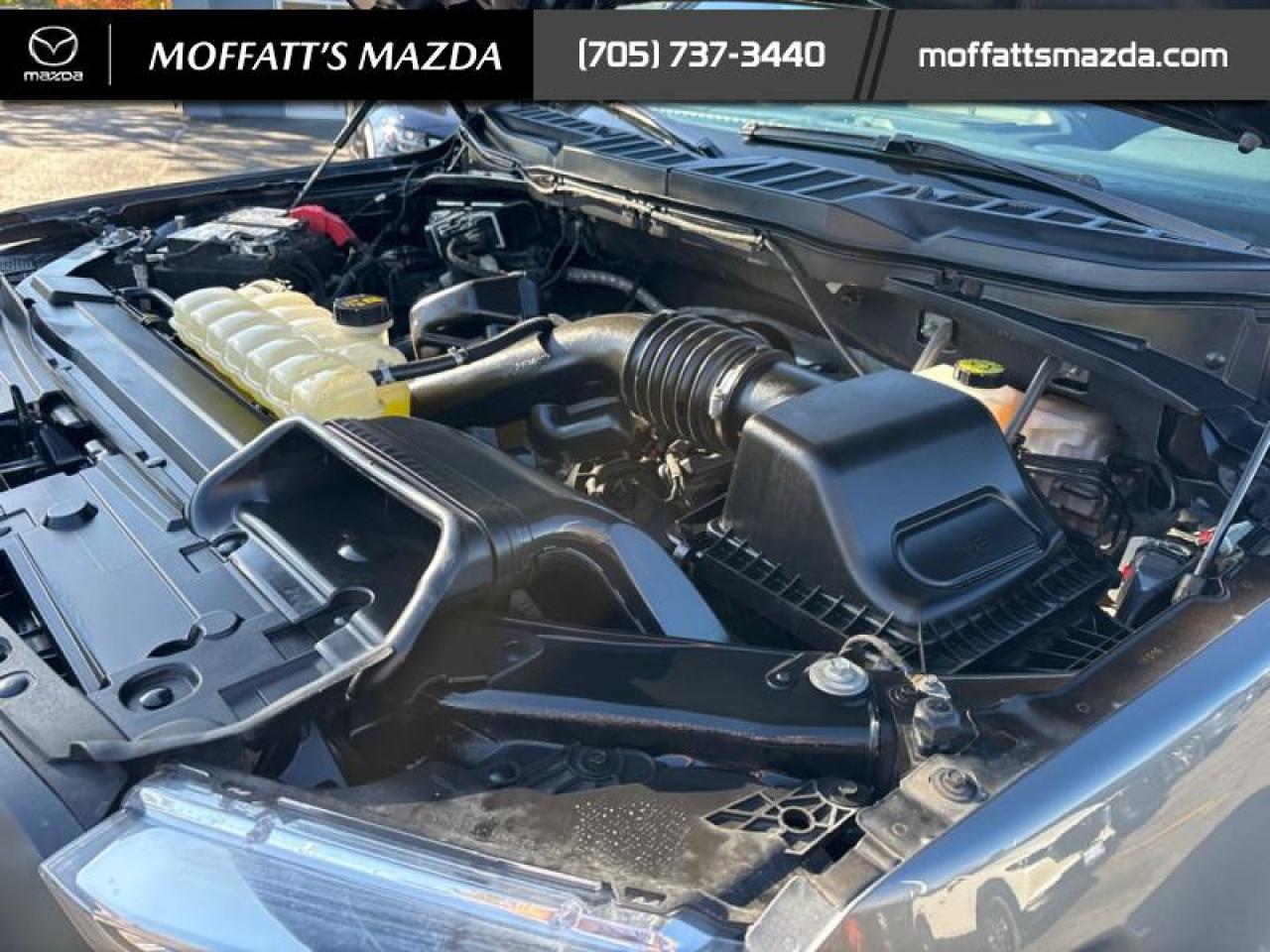 2023 Ford F-150 XLT Photo