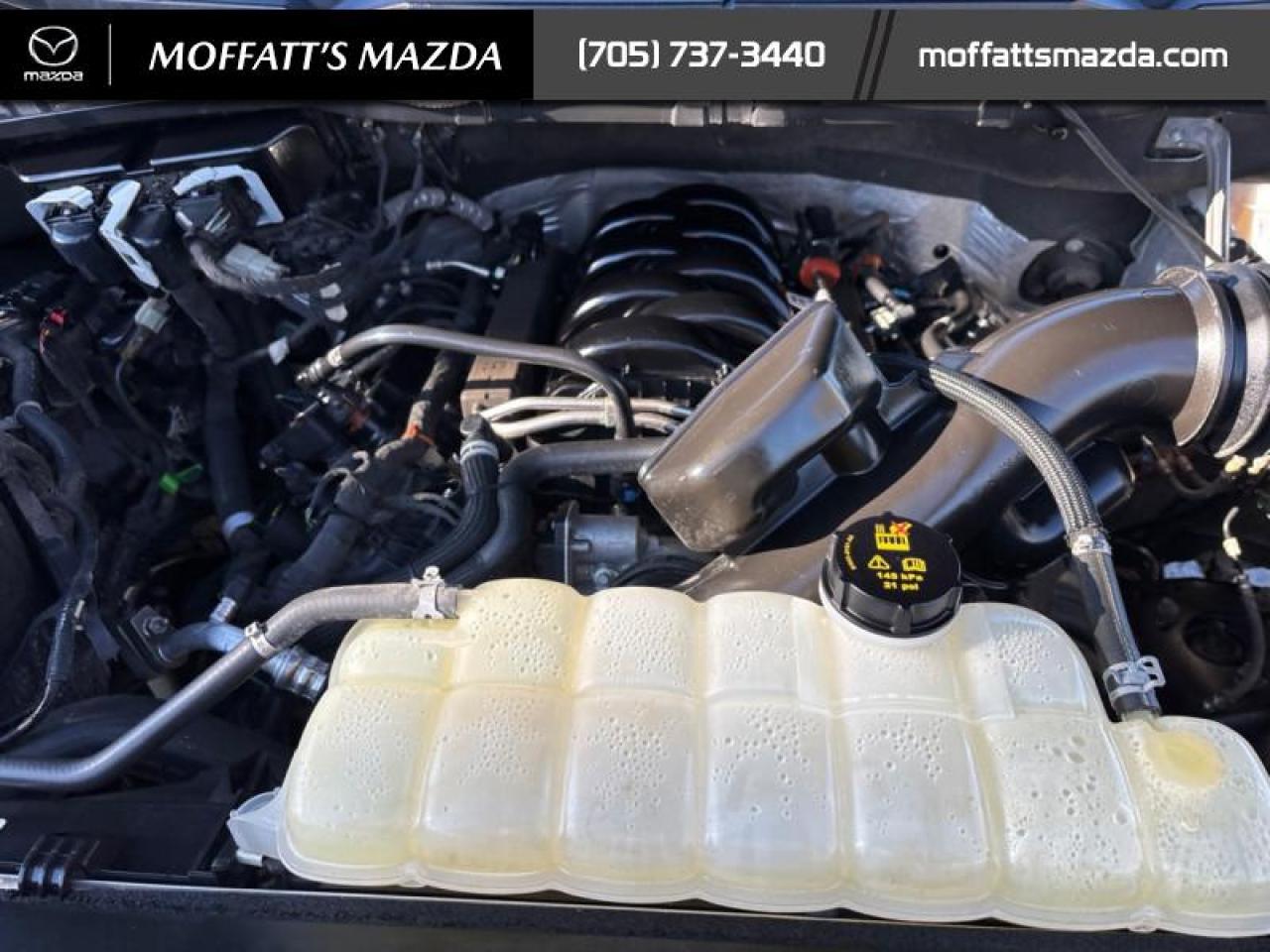 2023 Ford F-150 XLT Photo