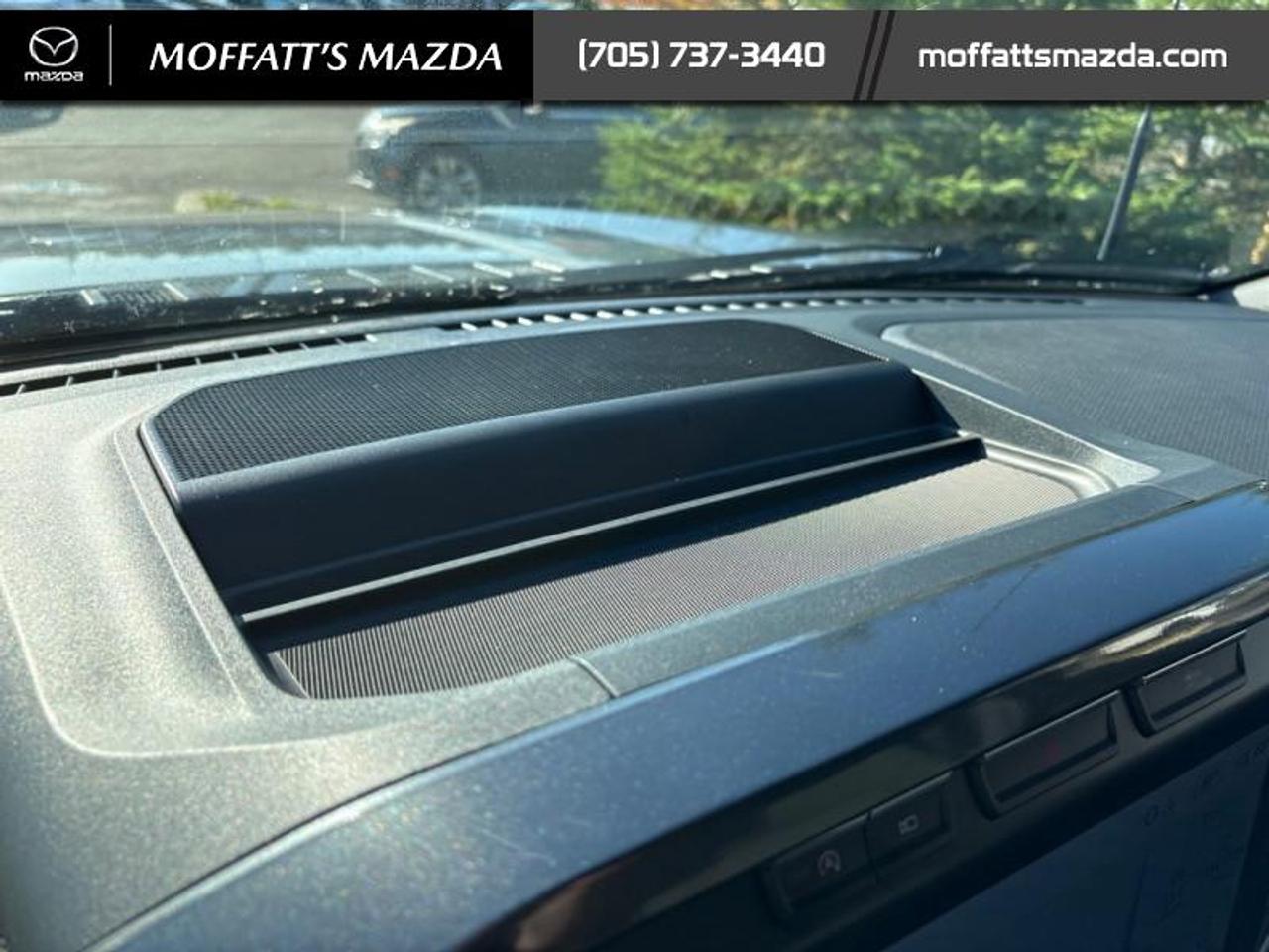 2023 Ford F-150 XLT Photo