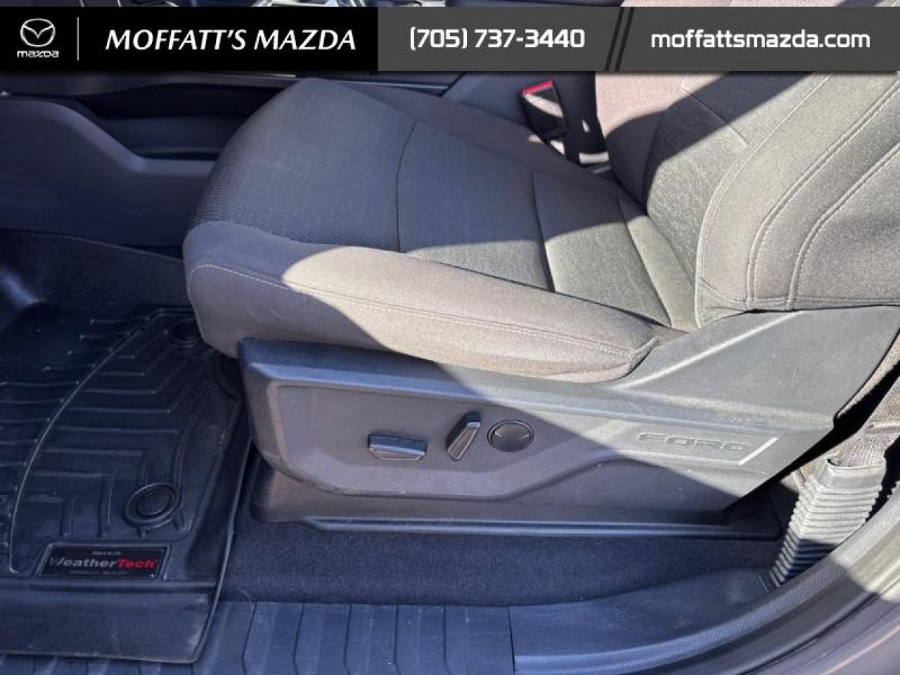 2023 Ford F-150 XLT Photo