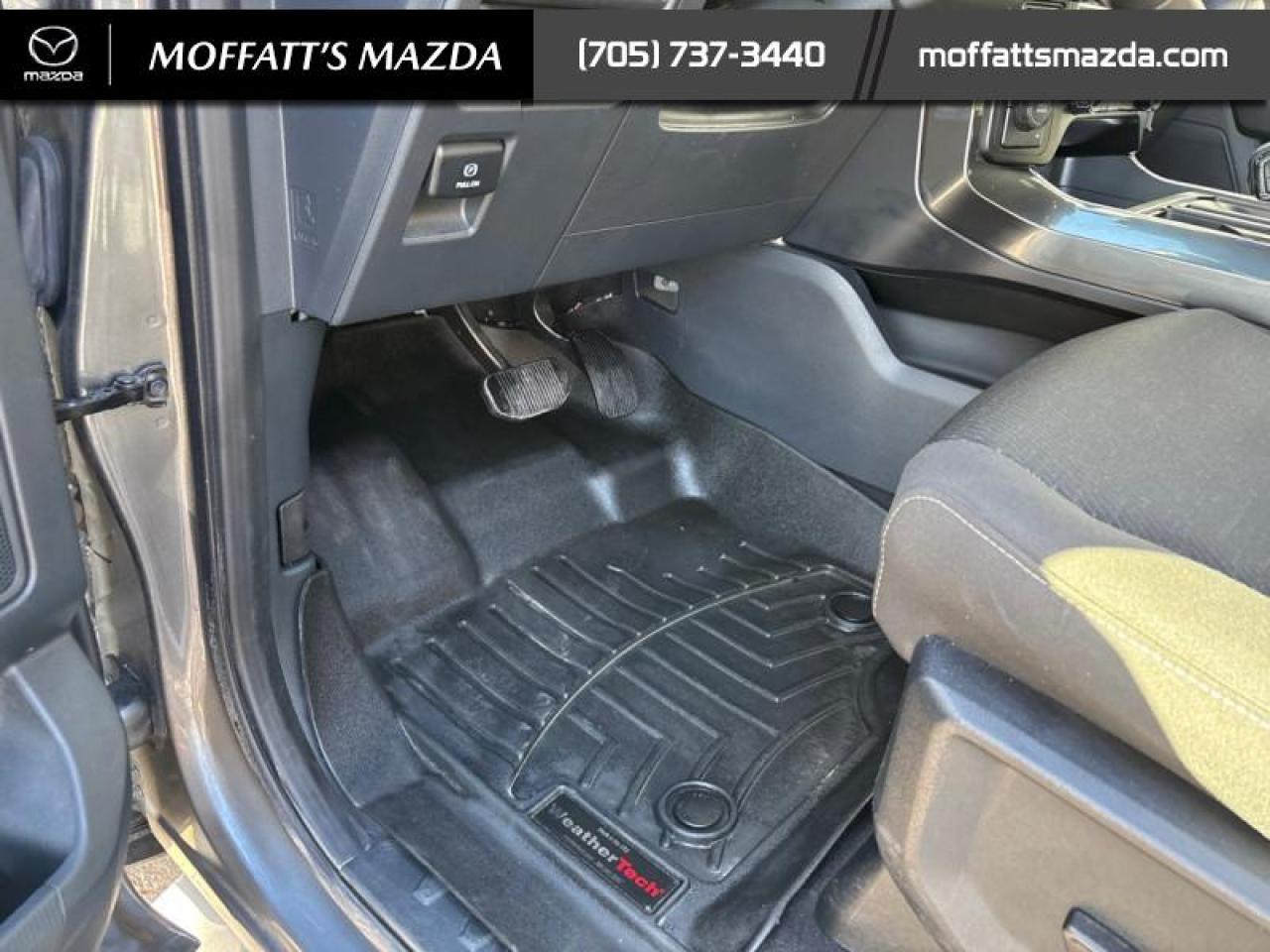 2023 Ford F-150 XLT Photo