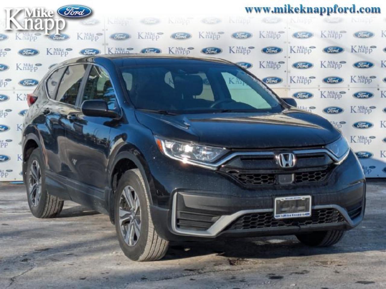 2021 Honda CR-V LX Photo