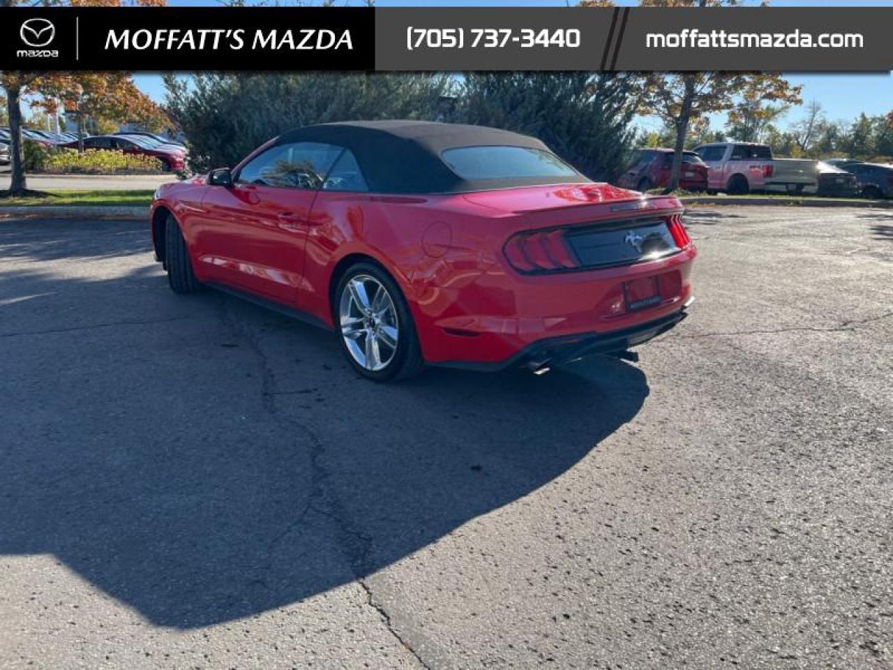 2021 Ford Mustang EcoBoost Premium Photo