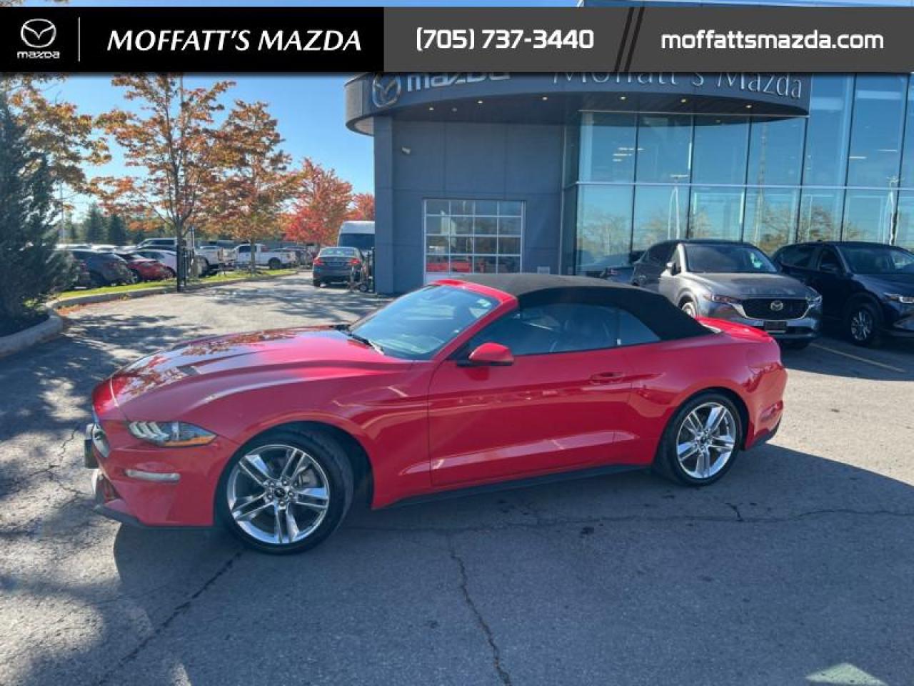 2021 Ford Mustang EcoBoost Premium Photo