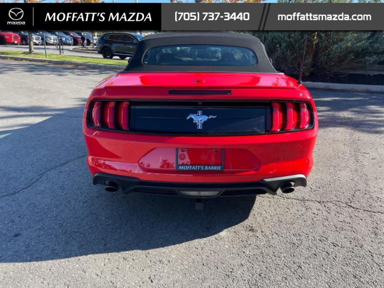 2021 Ford Mustang EcoBoost Premium Photo