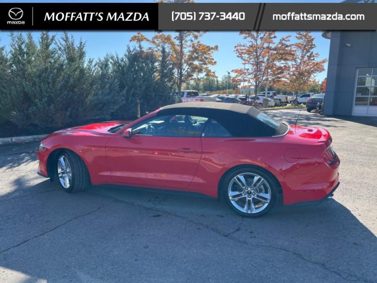 2021 Ford Mustang EcoBoost Premium Photo2