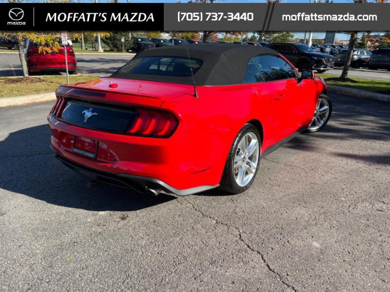 2021 Ford Mustang EcoBoost Premium Photo