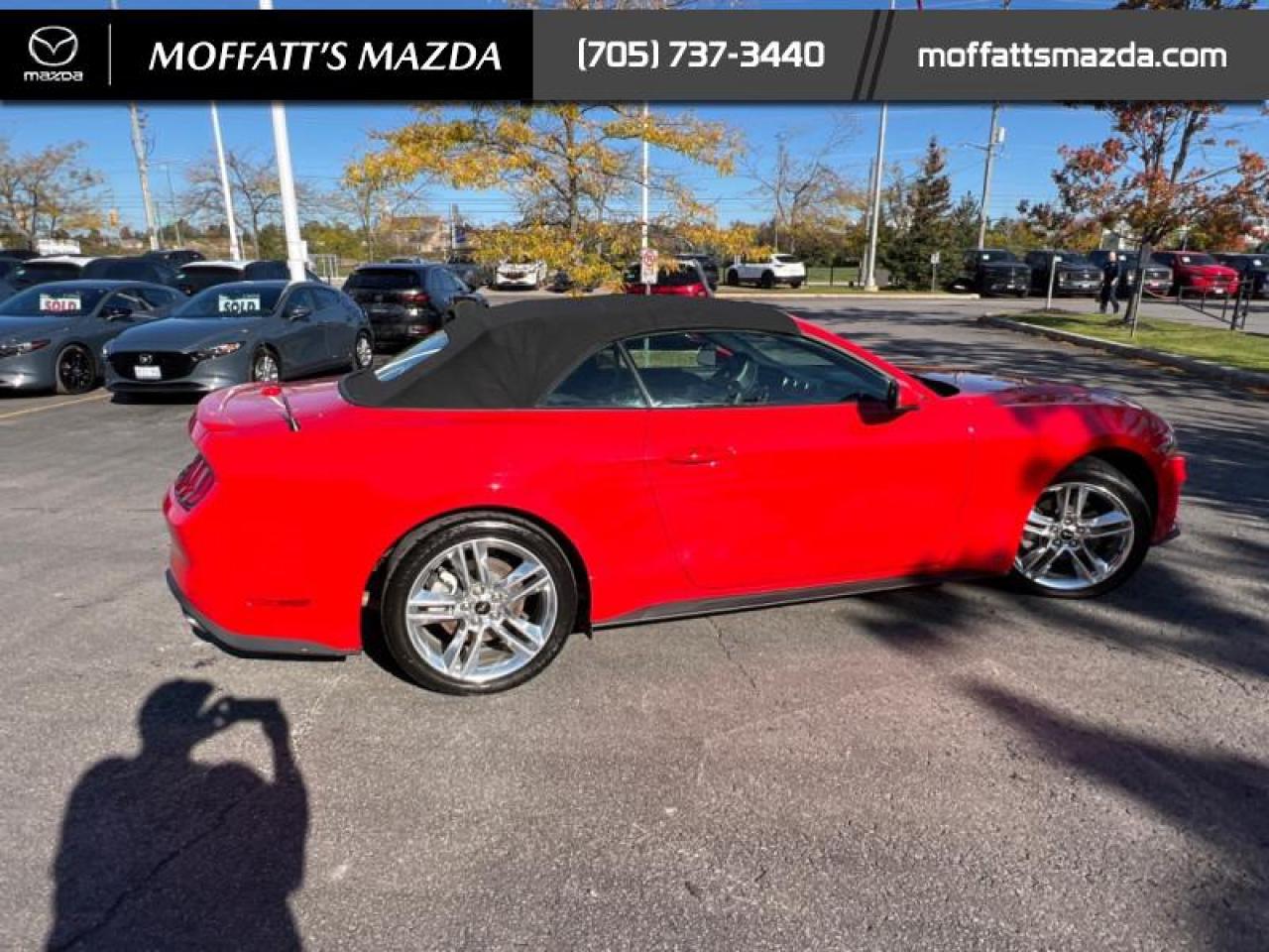 2021 Ford Mustang EcoBoost Premium Photo