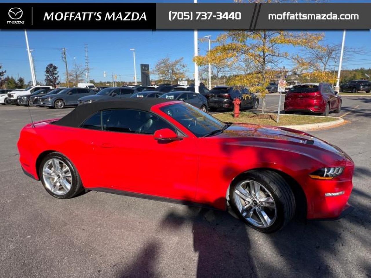 2021 Ford Mustang EcoBoost Premium Photo