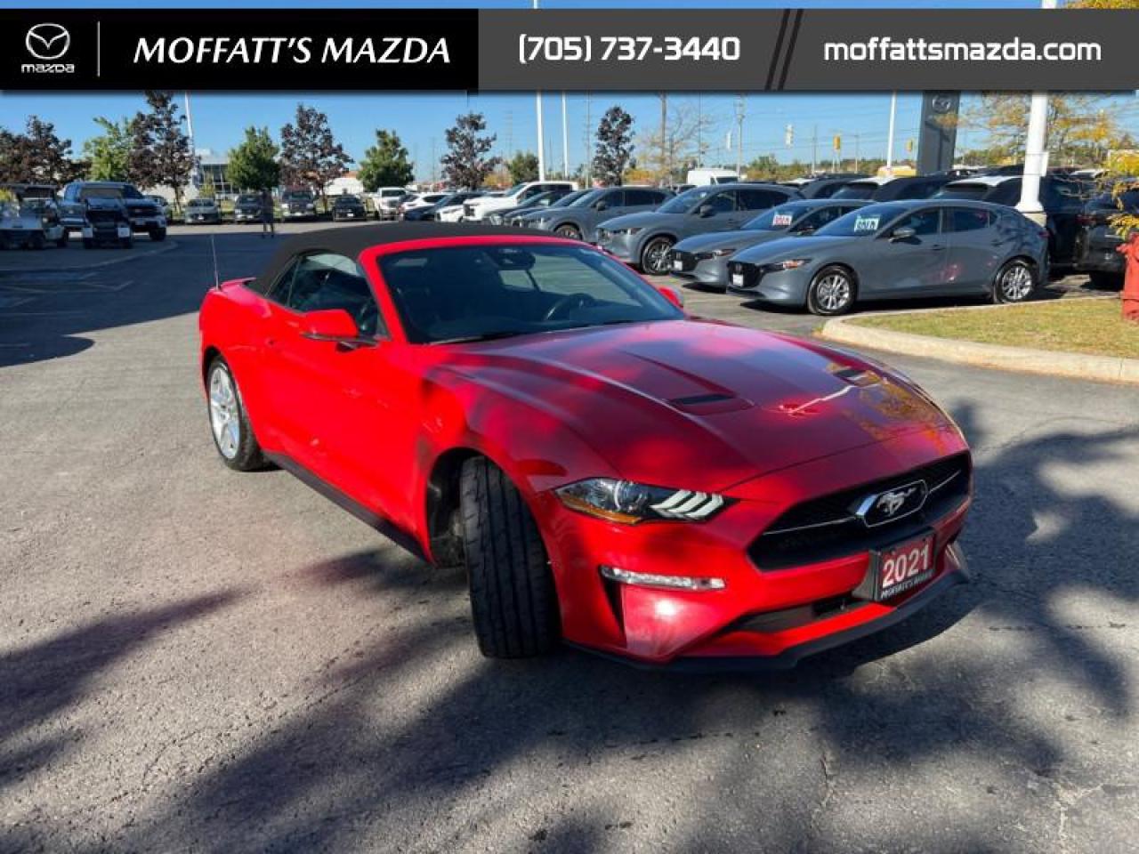 2021 Ford Mustang EcoBoost Premium Photo