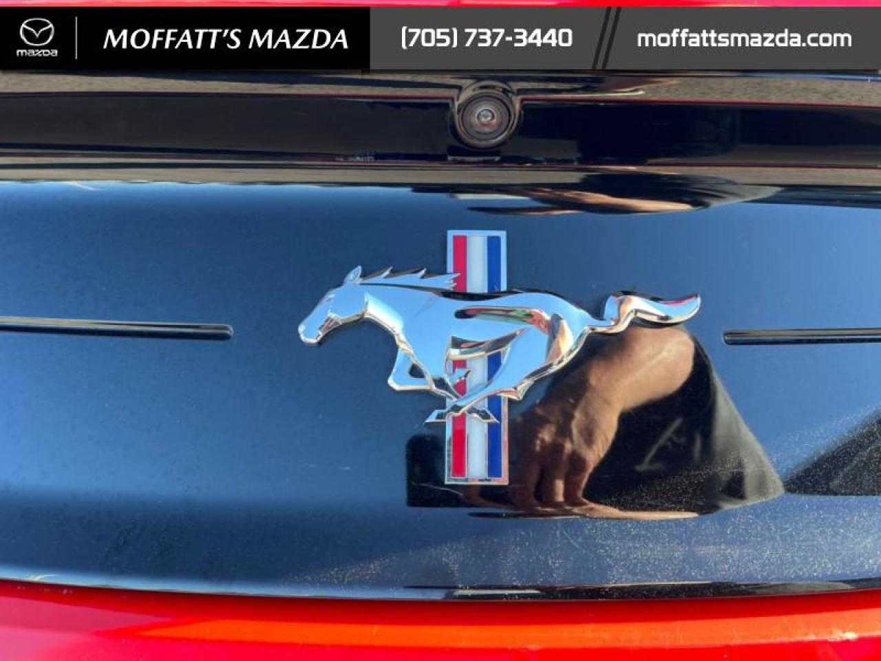 2021 Ford Mustang EcoBoost Premium Photo