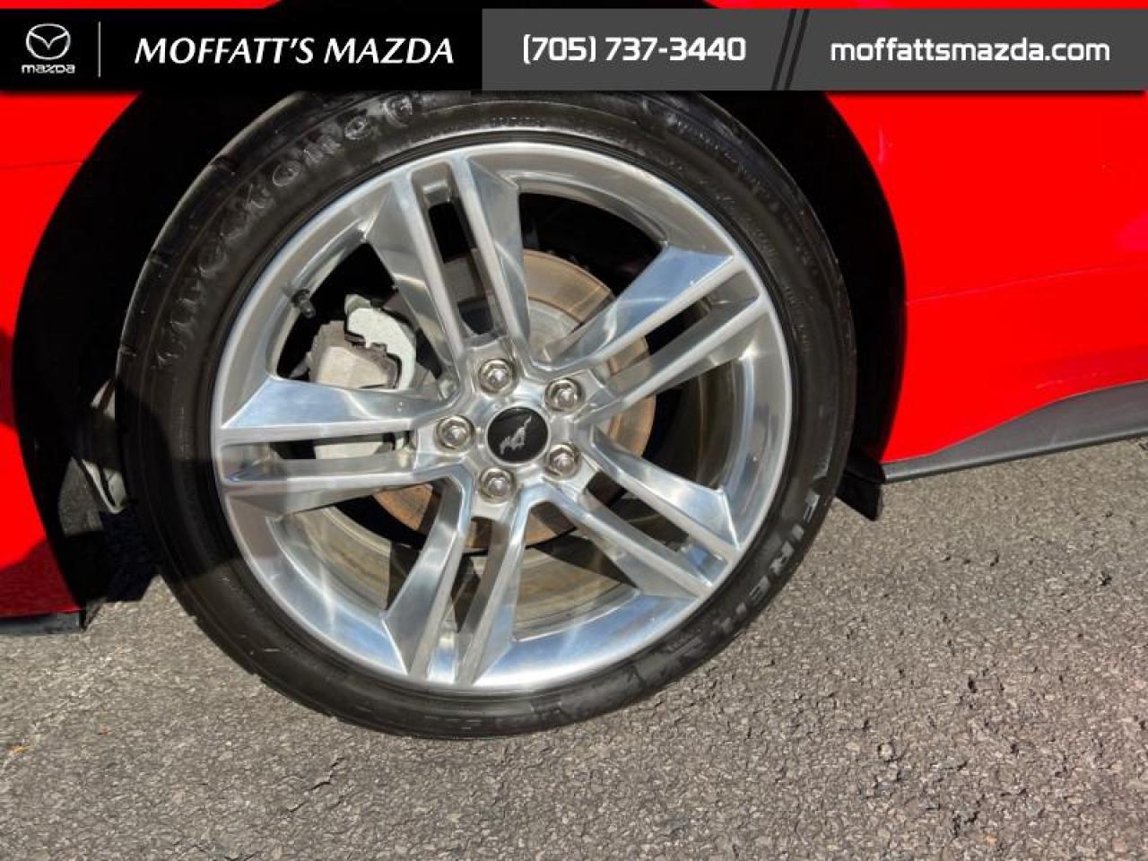 2021 Ford Mustang EcoBoost Premium Photo