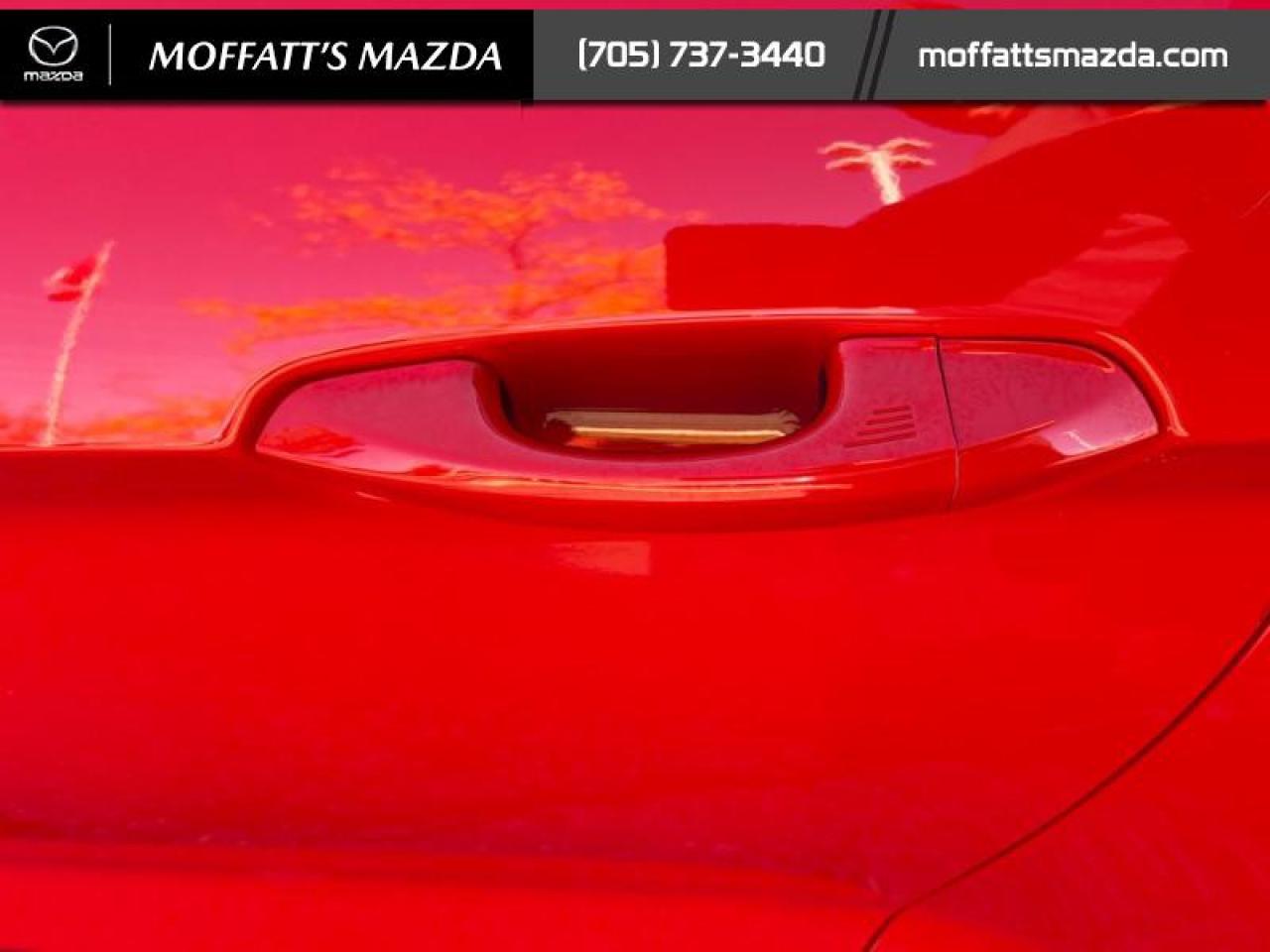 2021 Ford Mustang EcoBoost Premium Photo