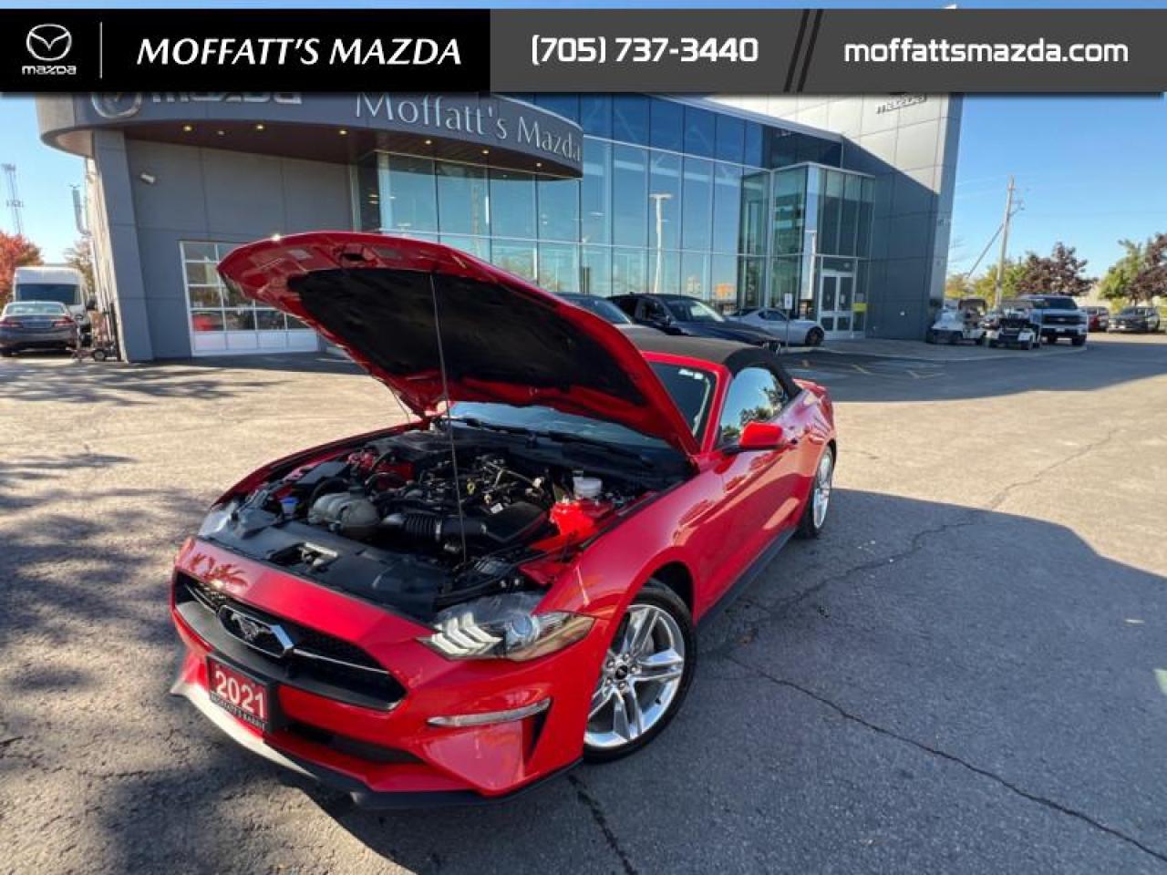 2021 Ford Mustang EcoBoost Premium Photo