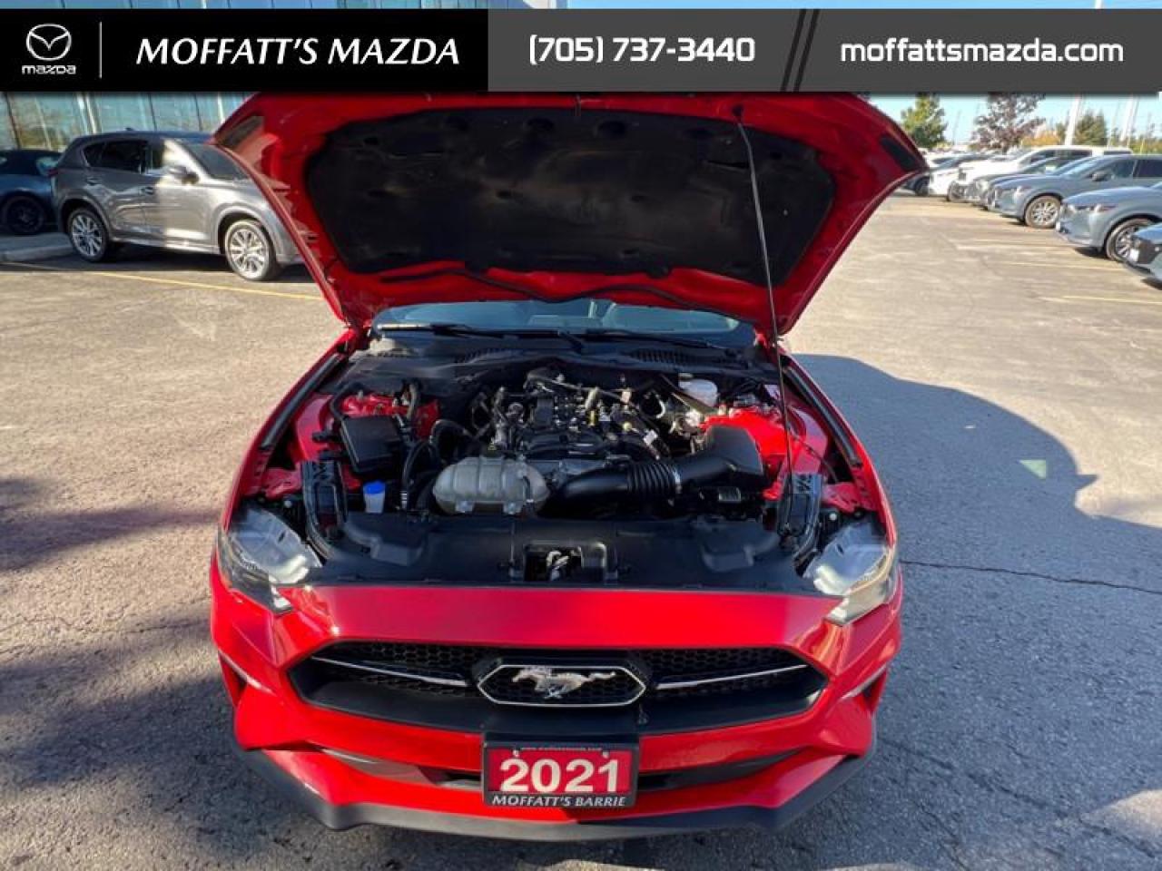 2021 Ford Mustang EcoBoost Premium Photo