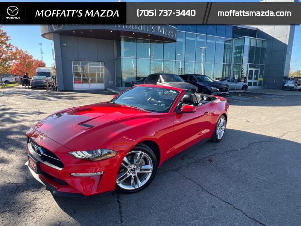 2021 Ford Mustang EcoBoost Premium Photo