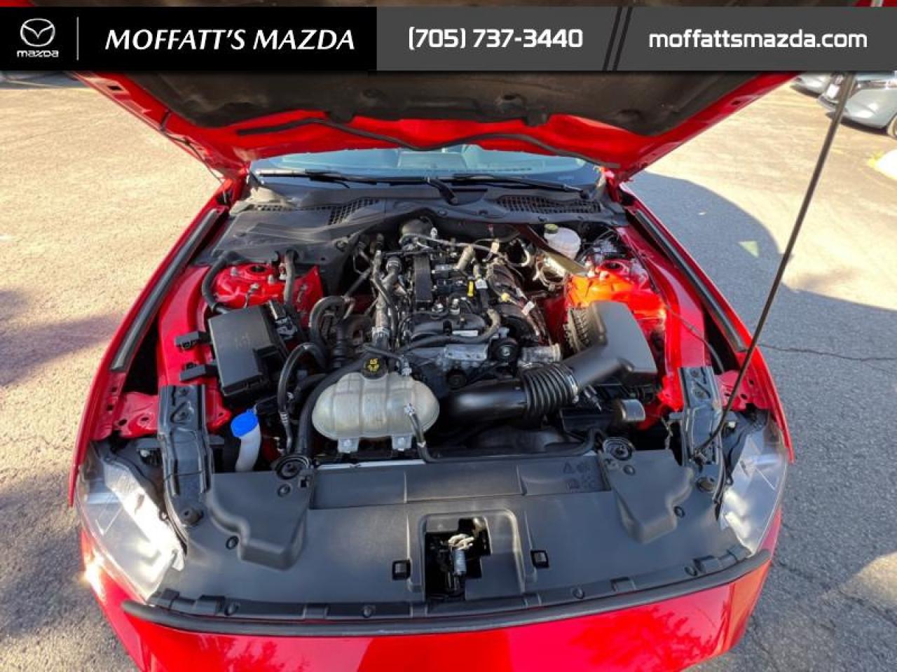 2021 Ford Mustang EcoBoost Premium Photo