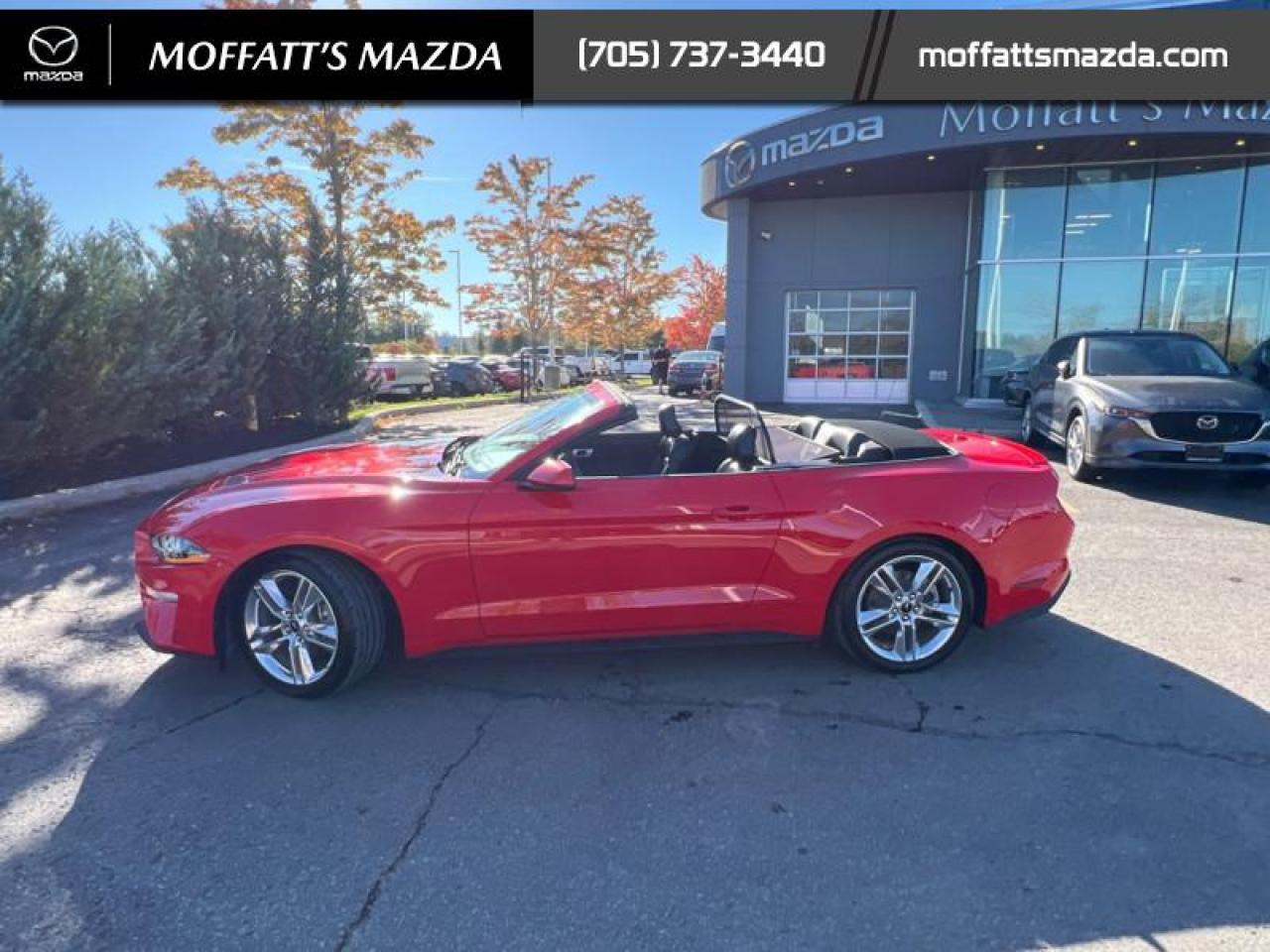 2021 Ford Mustang EcoBoost Premium Photo