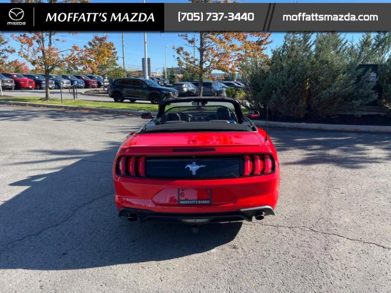 2021 Ford Mustang EcoBoost Premium Photo