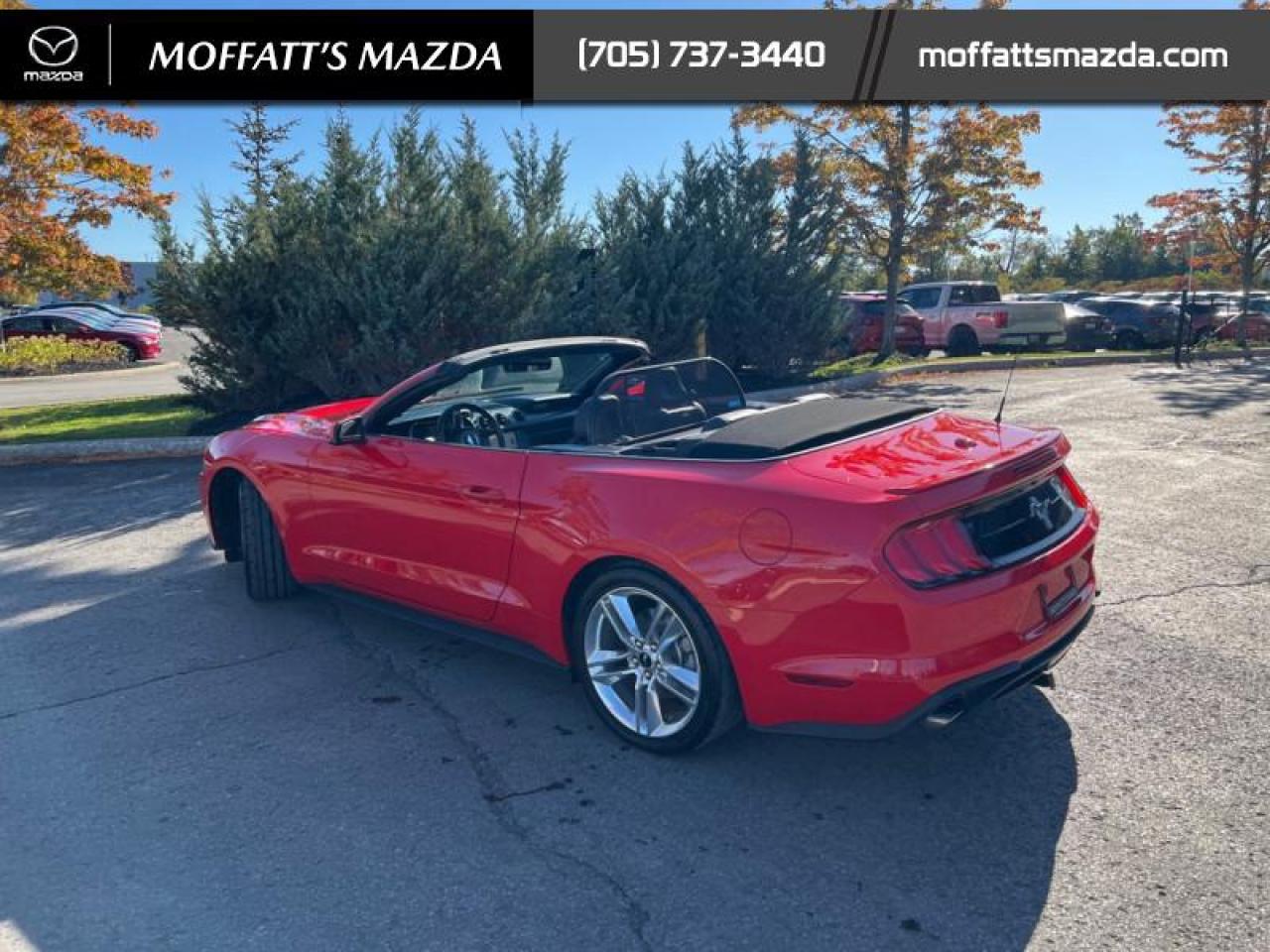 2021 Ford Mustang EcoBoost Premium Photo