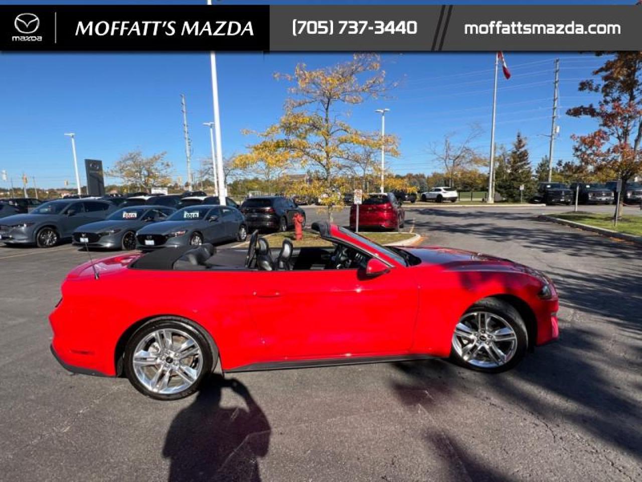 2021 Ford Mustang EcoBoost Premium Photo