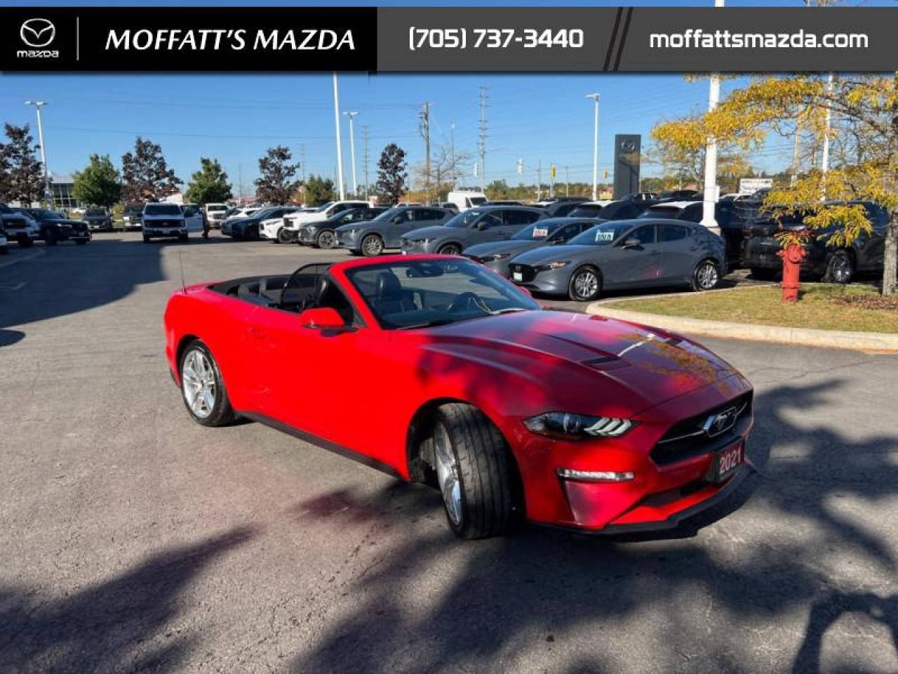 2021 Ford Mustang EcoBoost Premium Photo