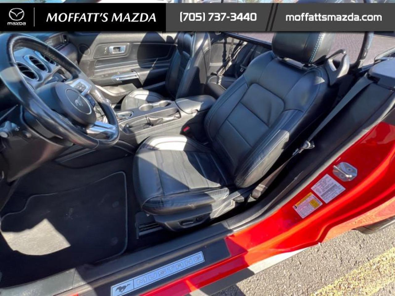 2021 Ford Mustang EcoBoost Premium Photo