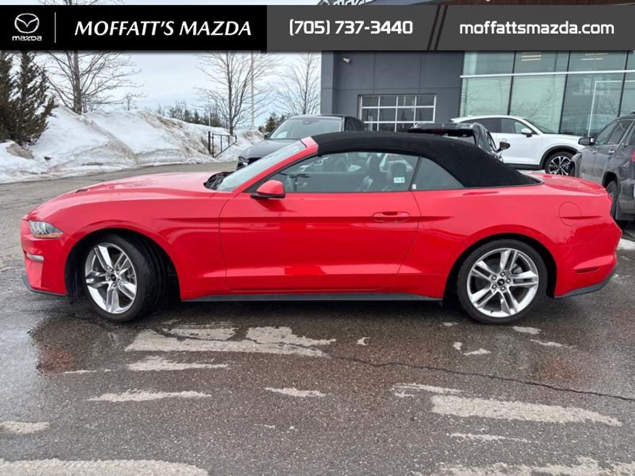 2021 Ford Mustang EcoBoost Premium Photo