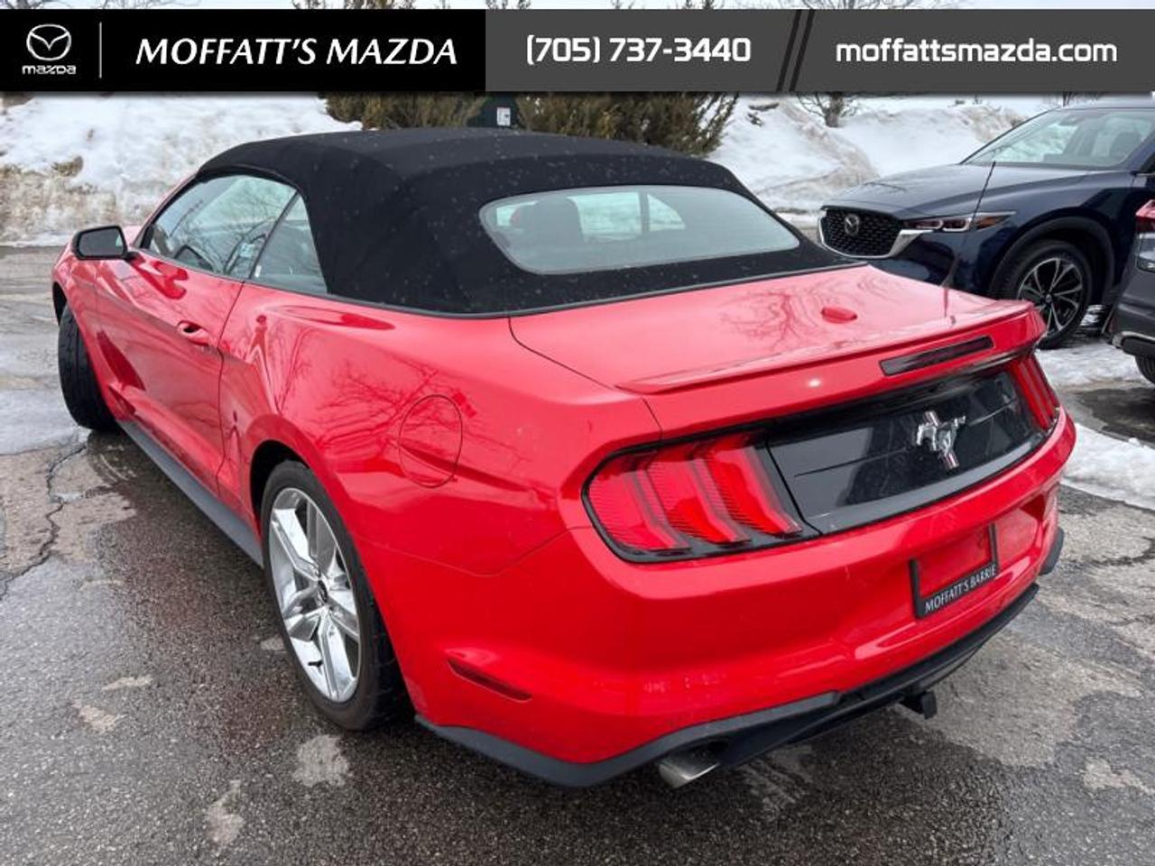 2021 Ford Mustang EcoBoost Premium Photo