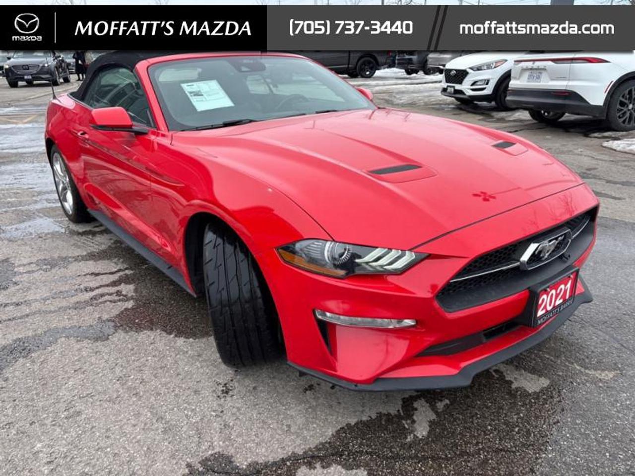 2021 Ford Mustang EcoBoost Premium Photo