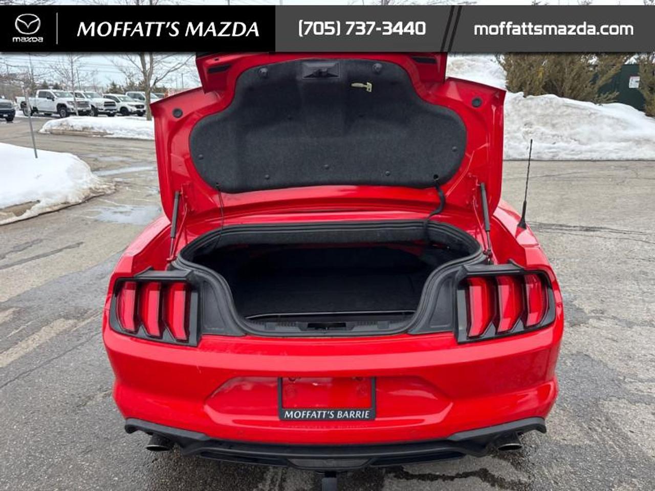 2021 Ford Mustang EcoBoost Premium Photo