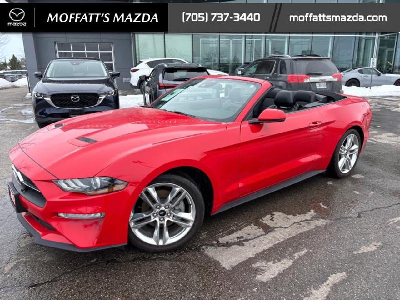 2021 Ford Mustang EcoBoost Premium Photo