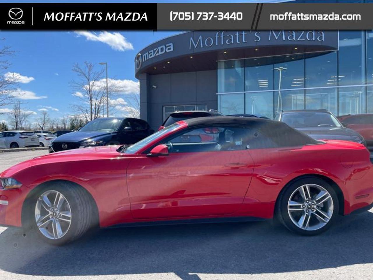 2021 Ford Mustang EcoBoost Premium Photo