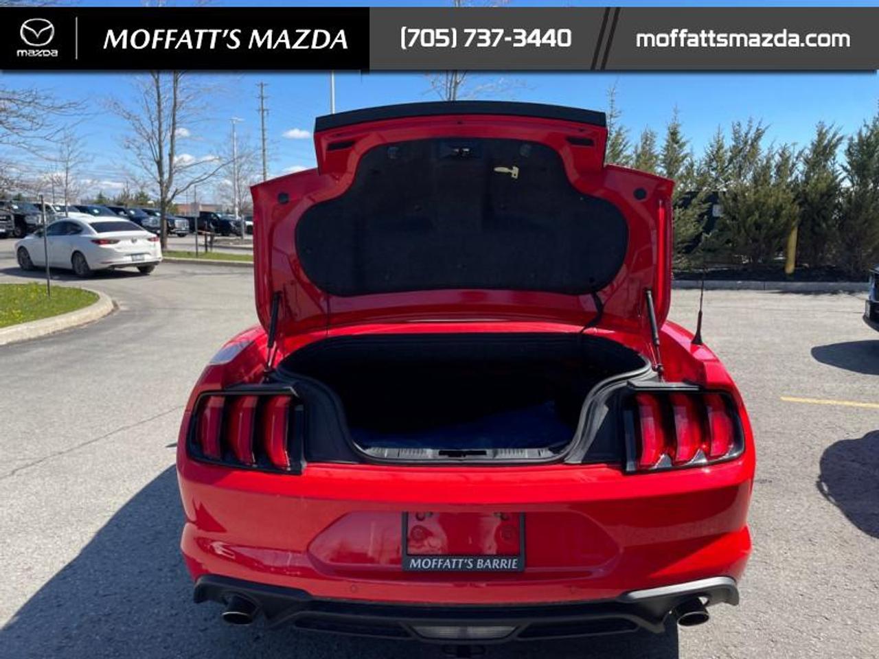 2021 Ford Mustang EcoBoost Premium Photo
